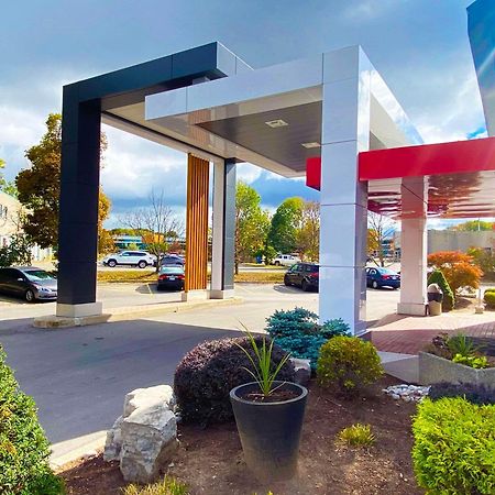 Comfort Inn Dryden Dış mekan fotoğraf
