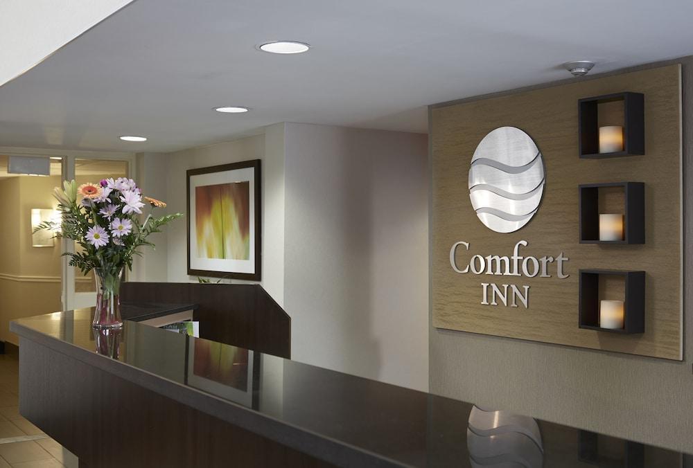 Comfort Inn Dryden Dış mekan fotoğraf
