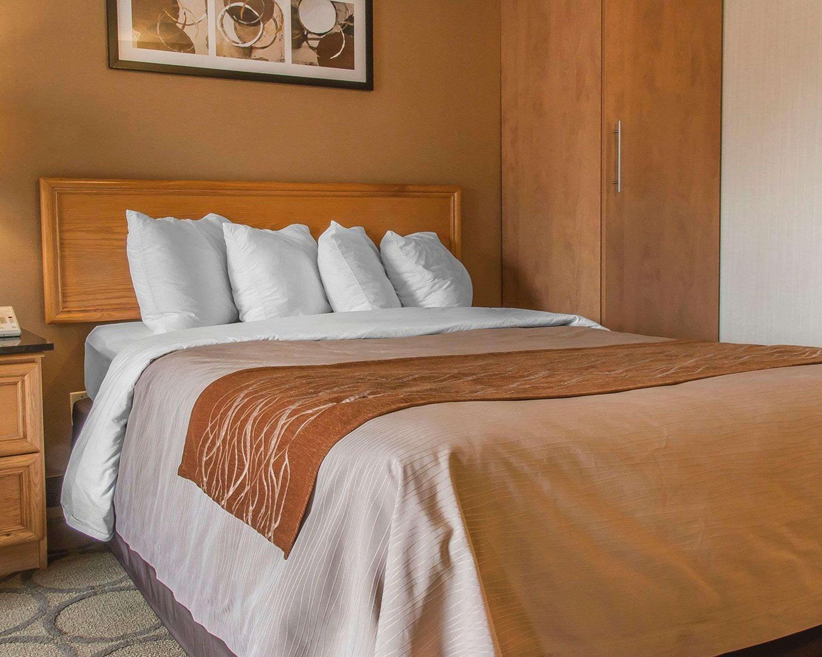 Comfort Inn Dryden Dış mekan fotoğraf