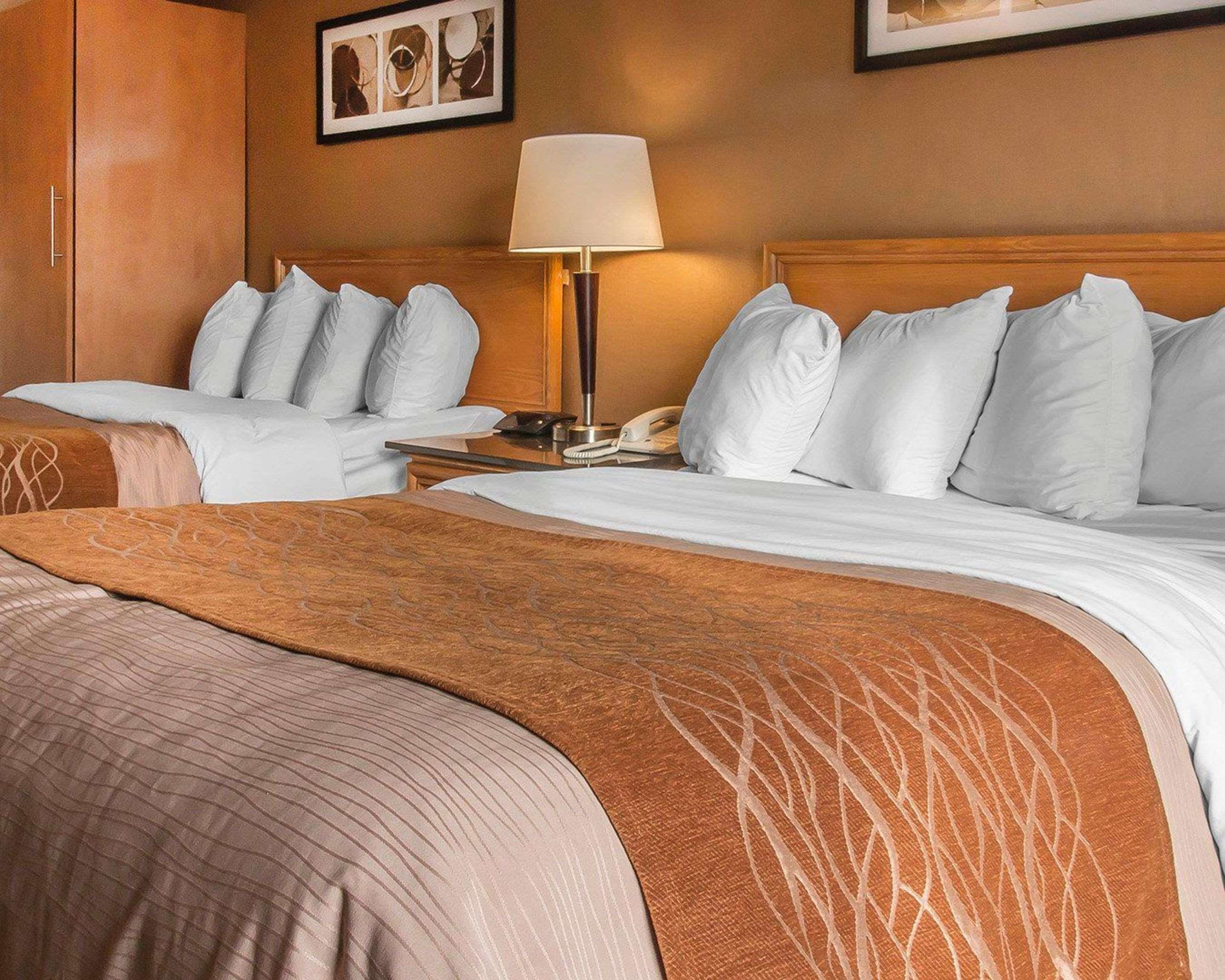 Comfort Inn Dryden Dış mekan fotoğraf