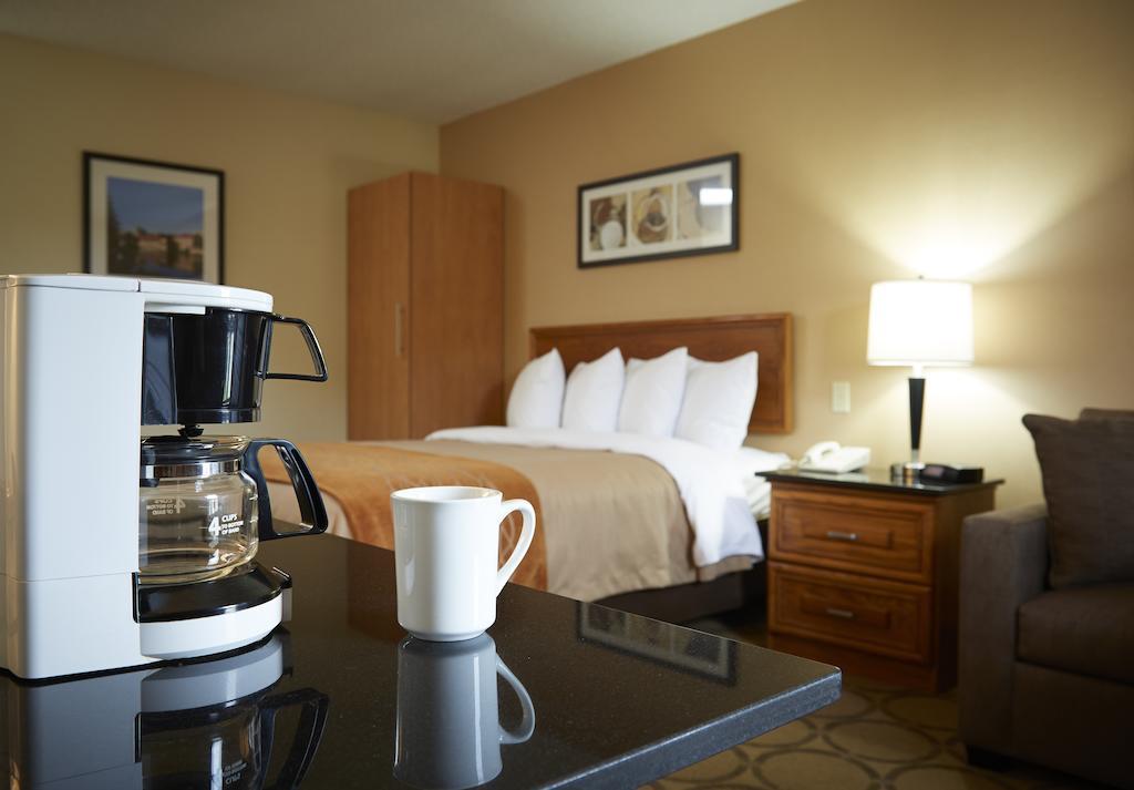 Comfort Inn Dryden Dış mekan fotoğraf