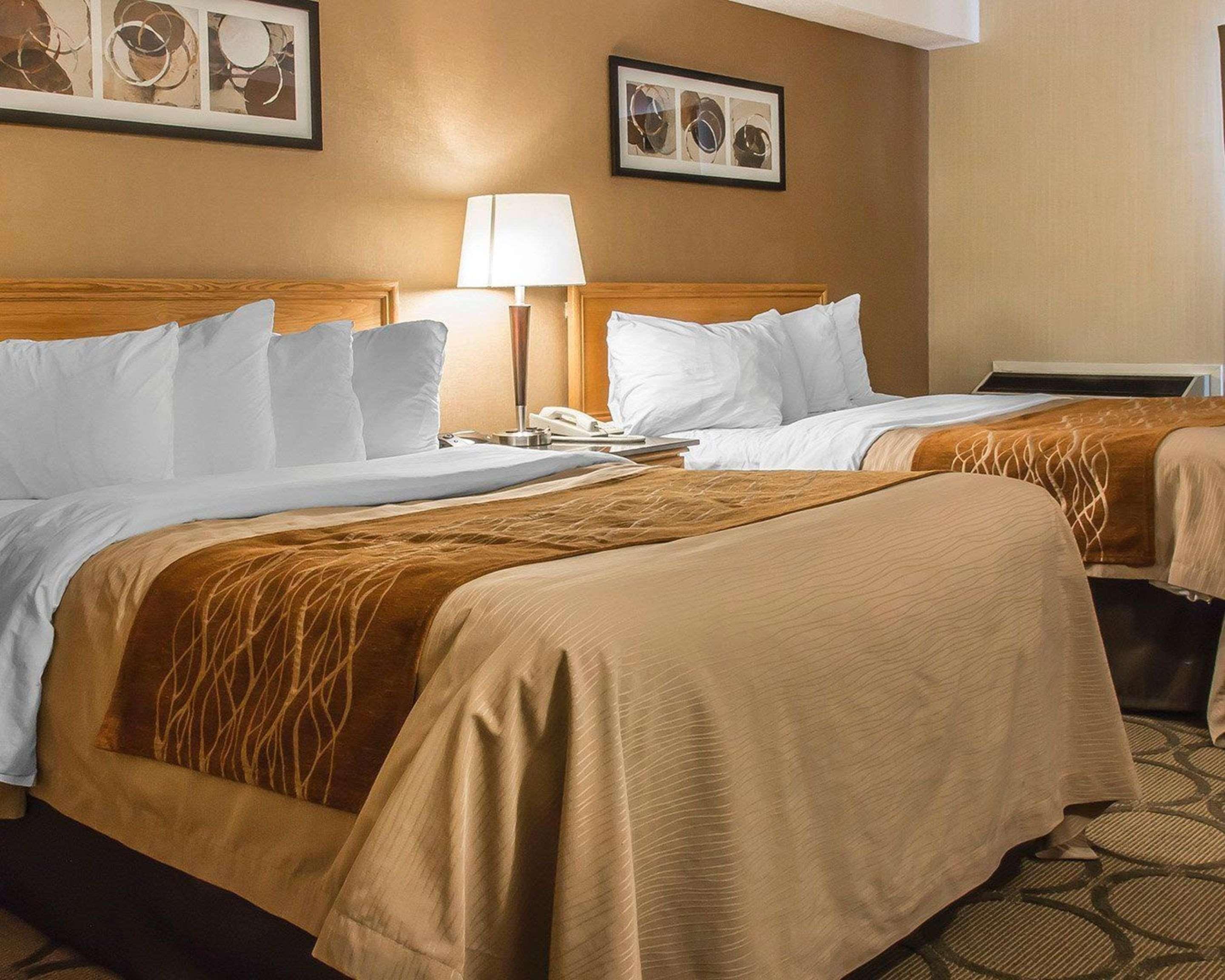 Comfort Inn Dryden Dış mekan fotoğraf